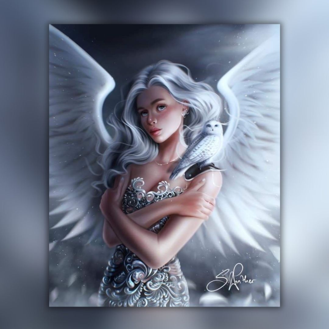 25 Wing Stampts Brushes