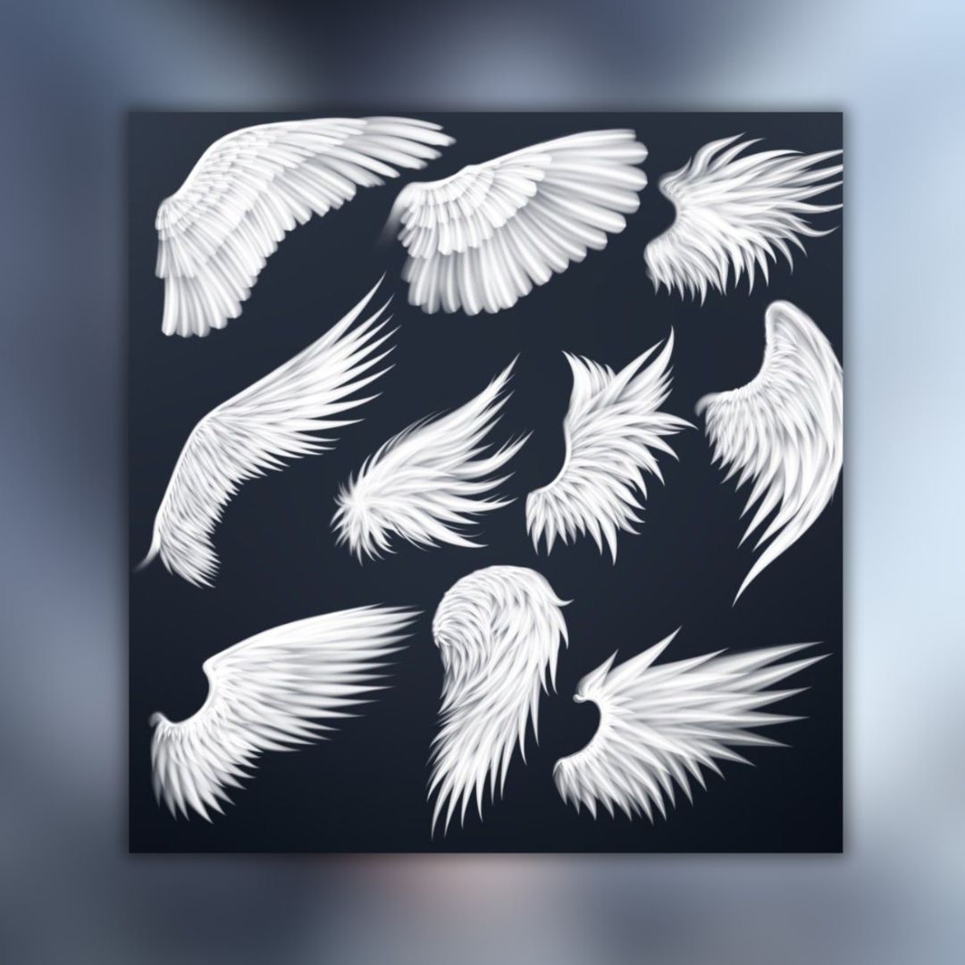 25 Wing Stampts Brushes