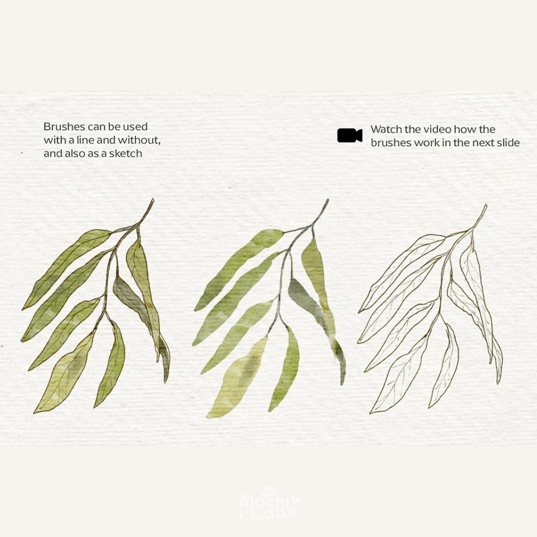 14 Watercolor & Pencil Brushes for Procreate