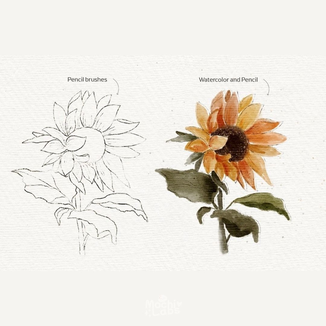 14 Watercolor & Pencil Brushes for Procreate